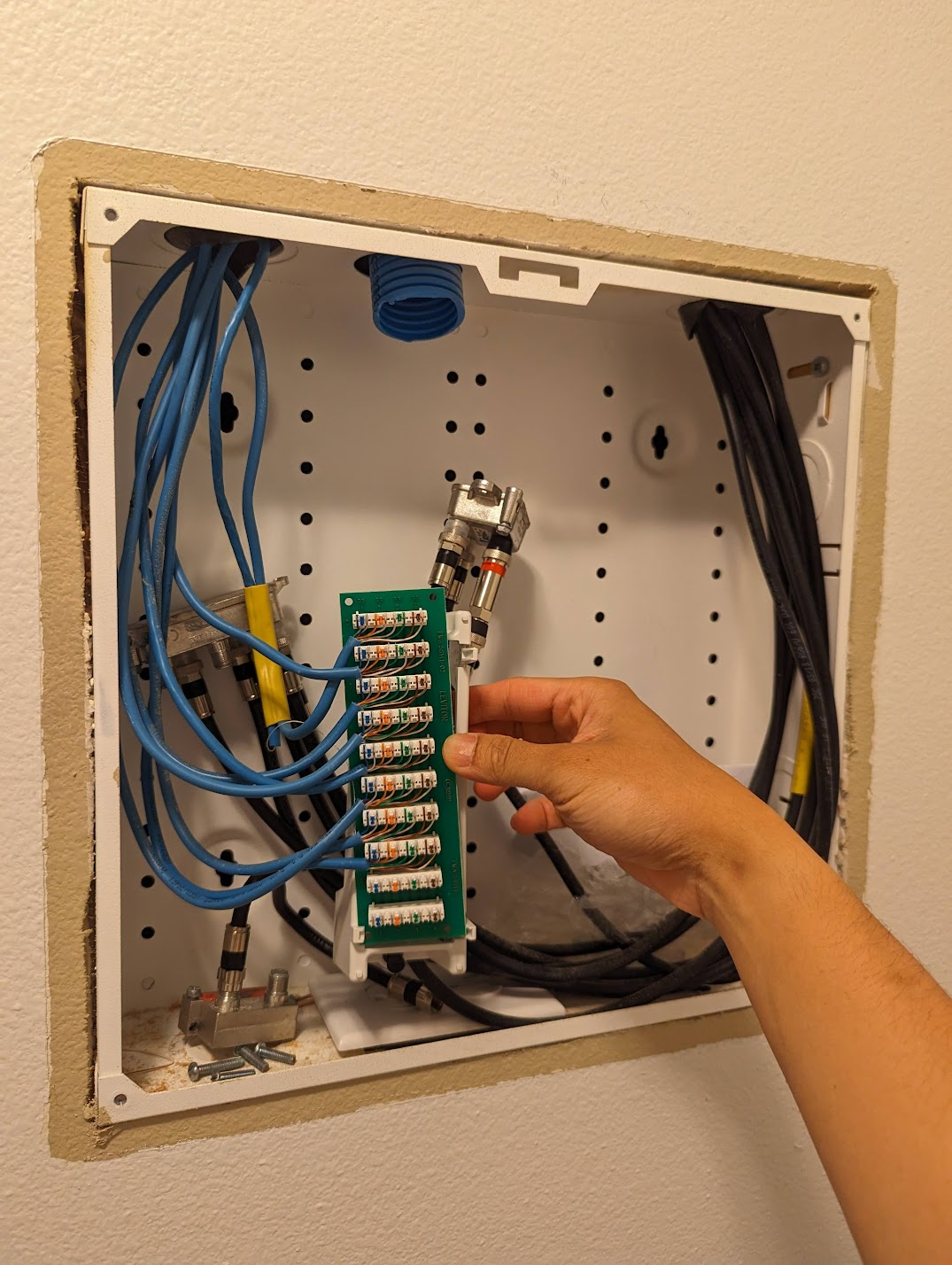 A 'Leviton' structured media enclosure containing all the terminated phone lines